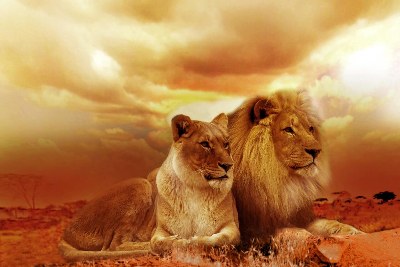 lioness symbolism